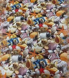 Beach - Landscape Shells