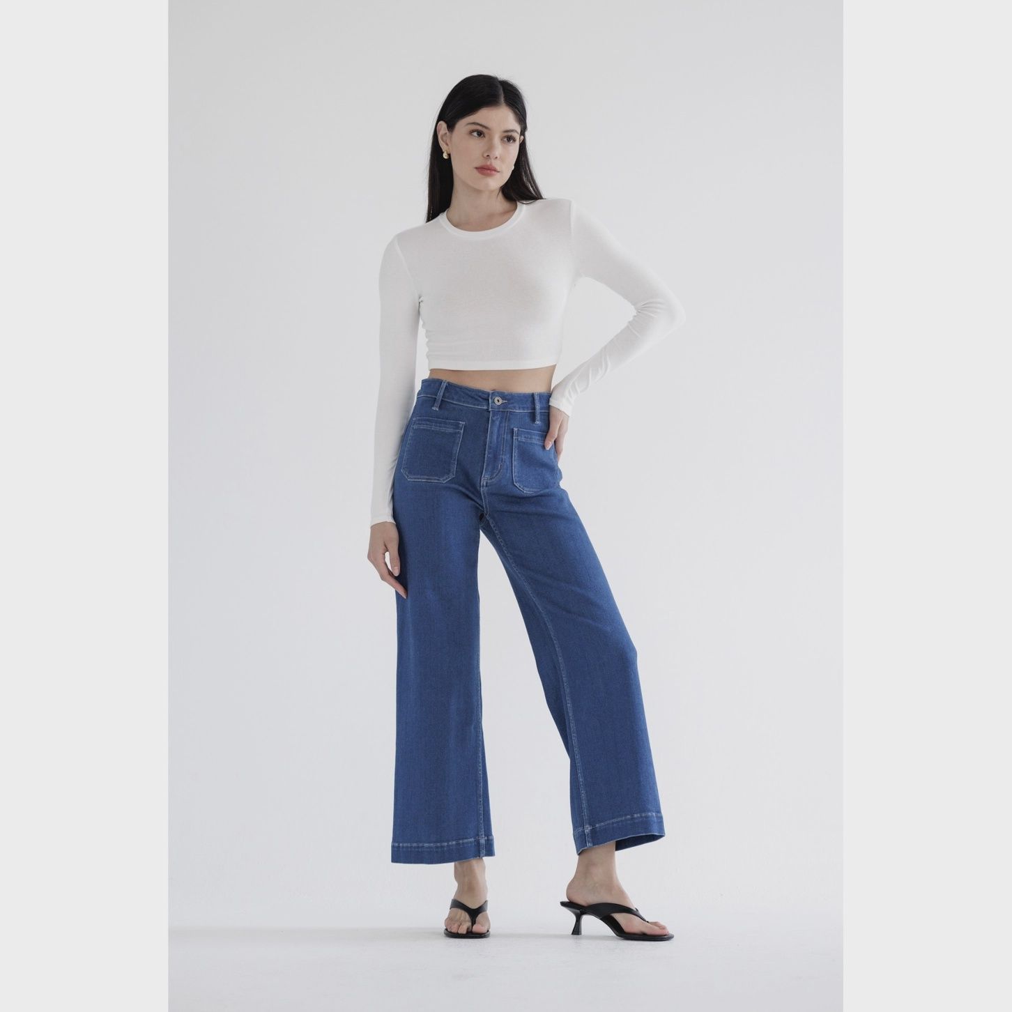 Mica Denim High Rise Wide Jean
