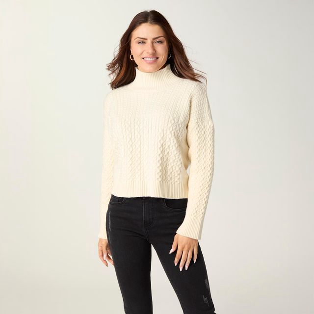 Anaya Textured Mock Neck Sweater