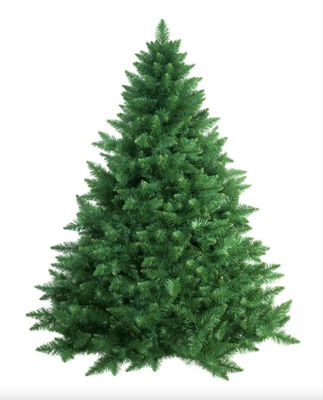 TREES CUT