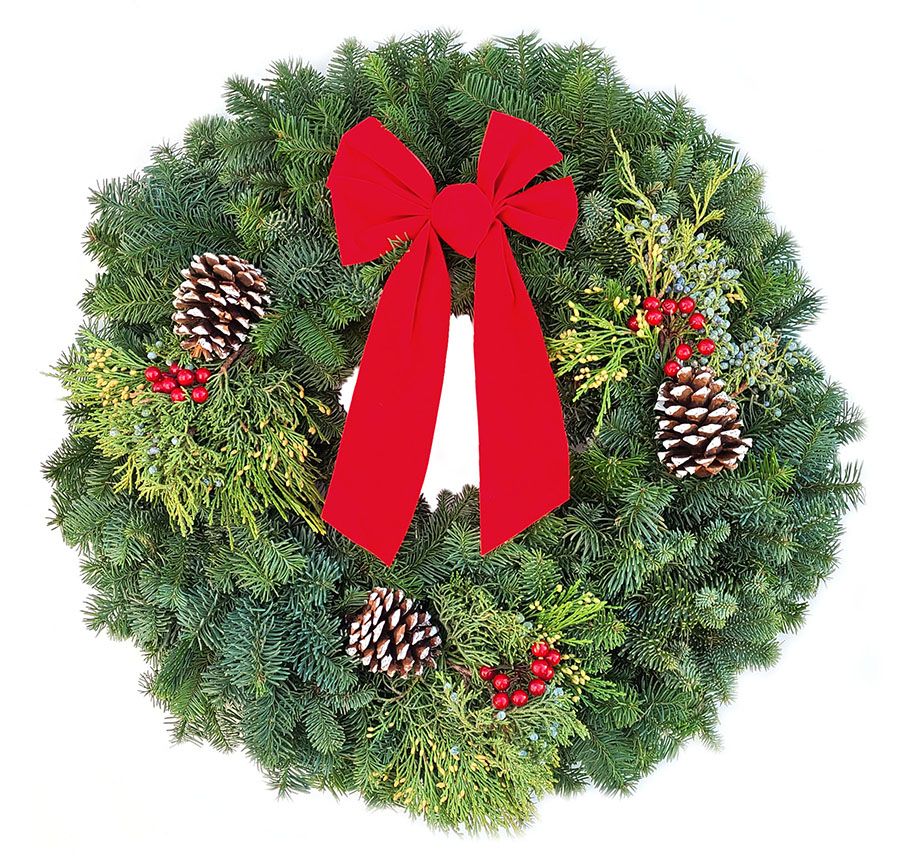 WREATH STELLAR NOBLE 24"
