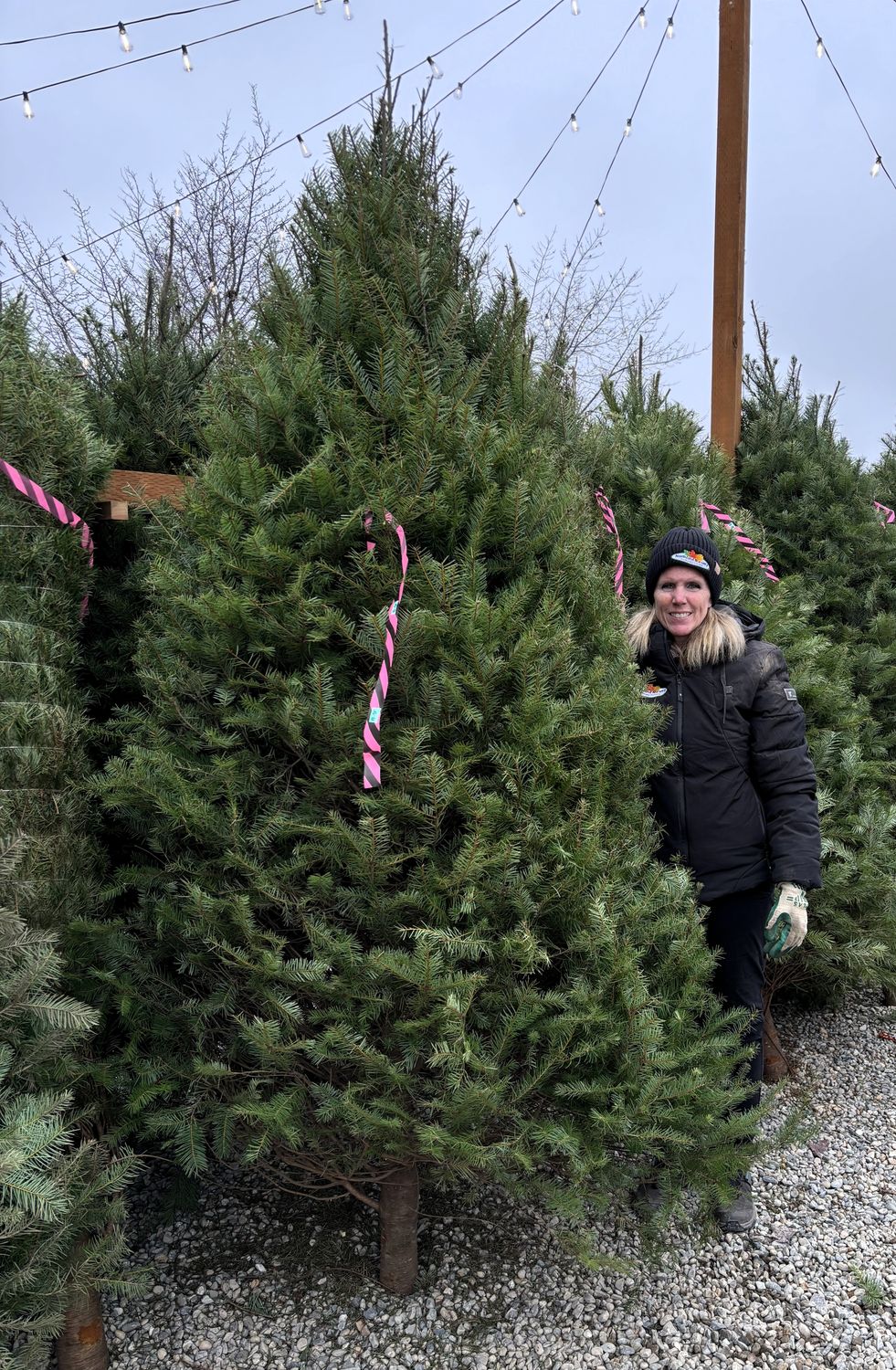 TREE DOUGLAS FIR 8'-9'