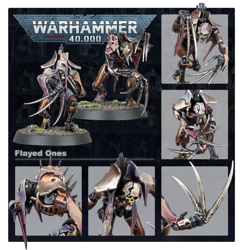 NECRONS: FLAYED ONES - 40K