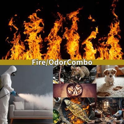 IICRC FSRT/OCT COMBO- Fire Damage &amp; Odor Control