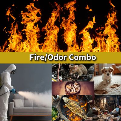 IICRC FSRT/OCT COMBO- Fire Damage &amp; Odor Control