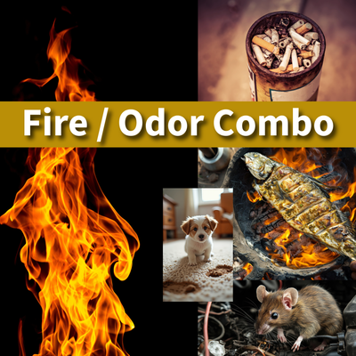 IICRC FSRT/OCT COMBO- Fire Damage &amp; Odor Control