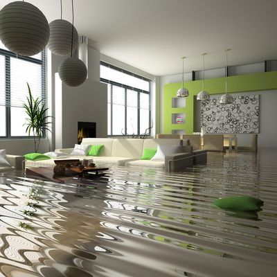 IICRC AMRT, ASD, ASD/WRT COMBO