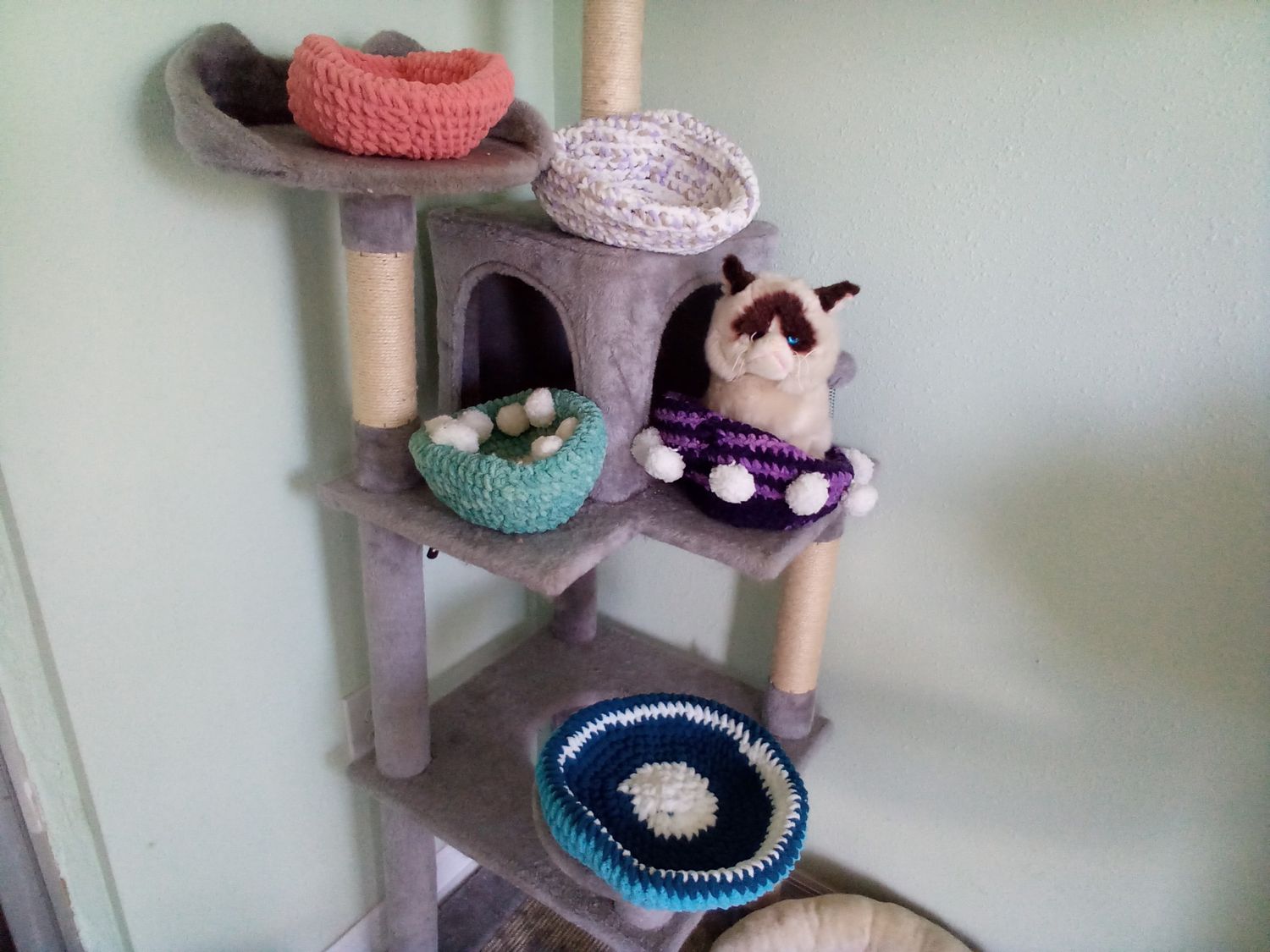 Kitten bowls