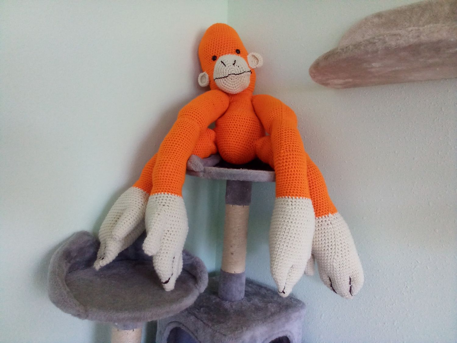 Olivia the orangutan