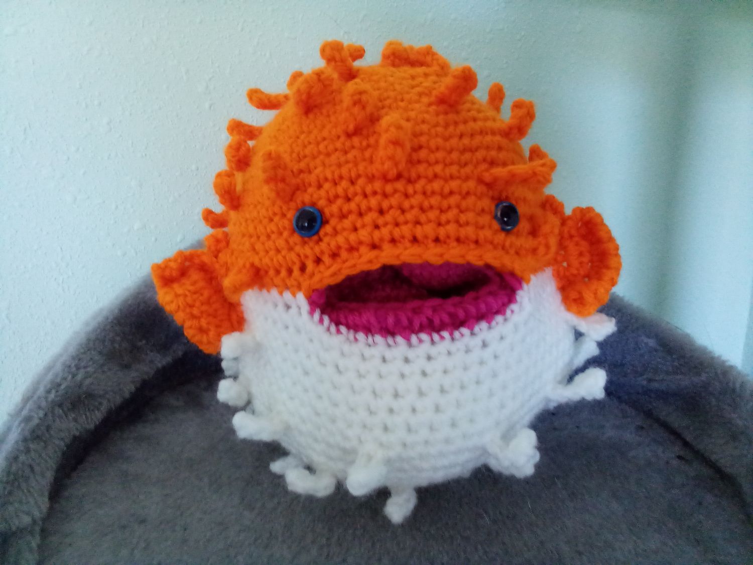 Puffer fish