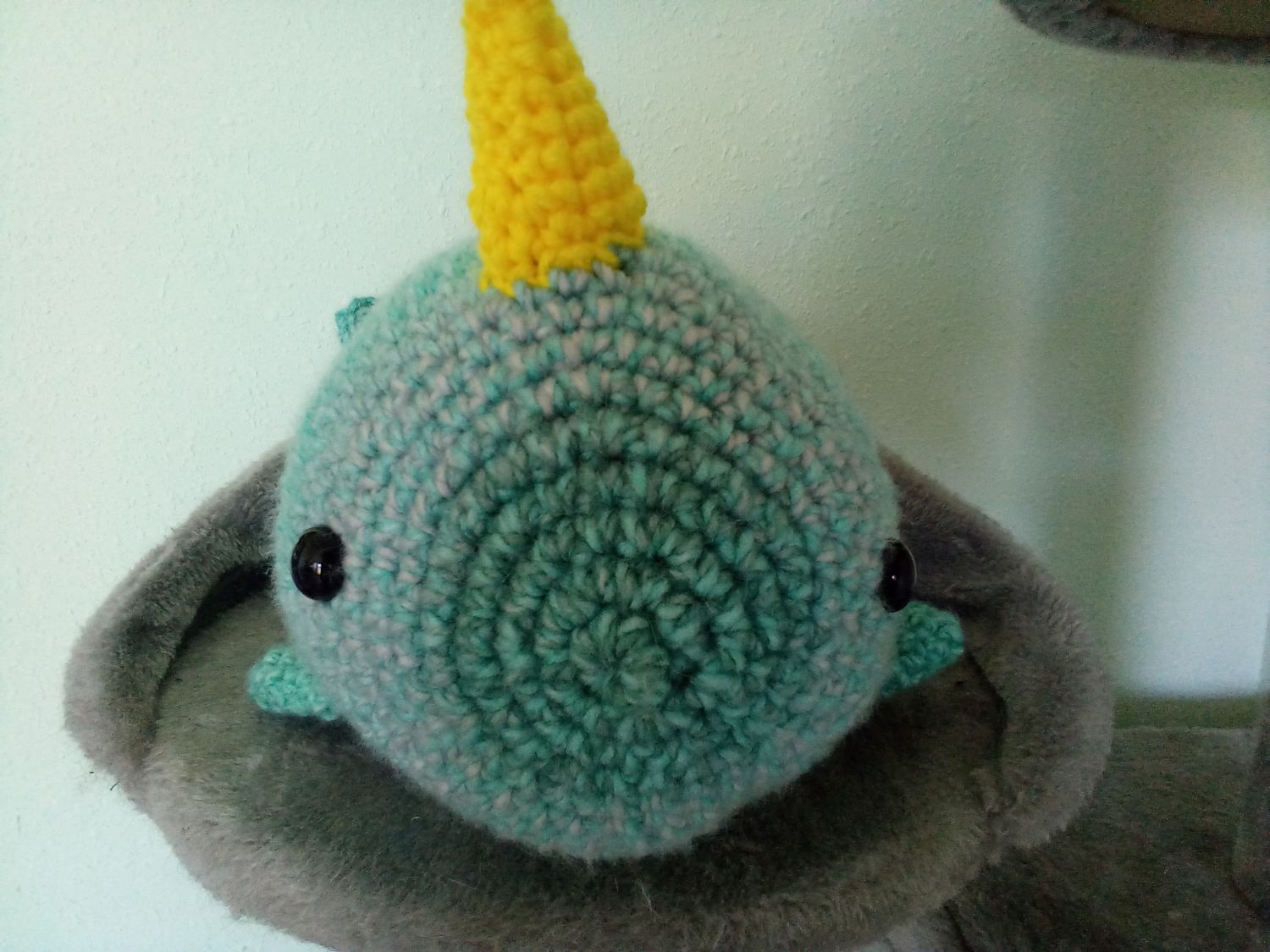 Narwhal whale