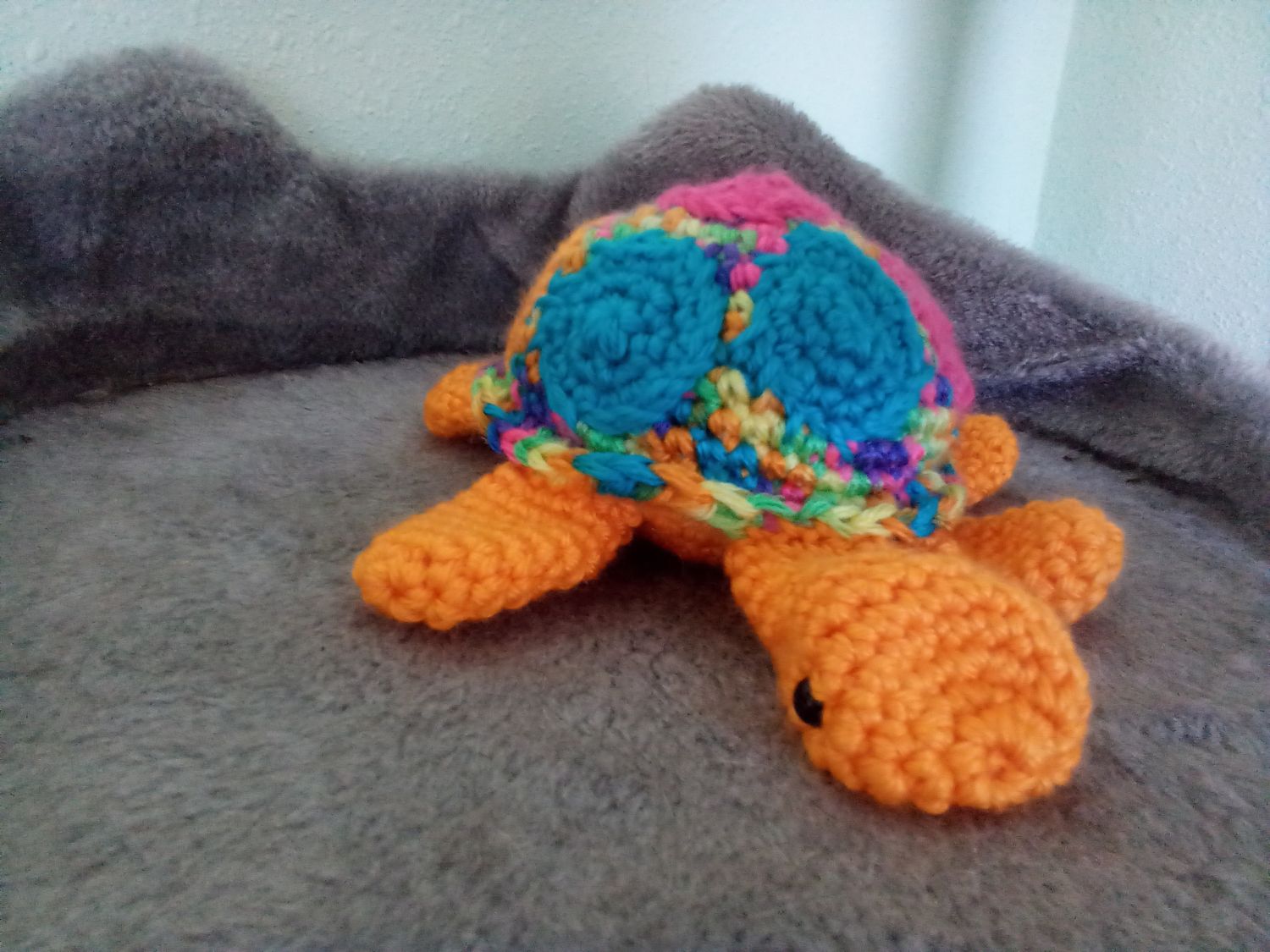 Turtle