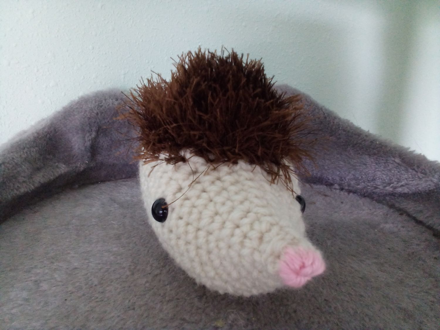 Hedgie the hedgehog