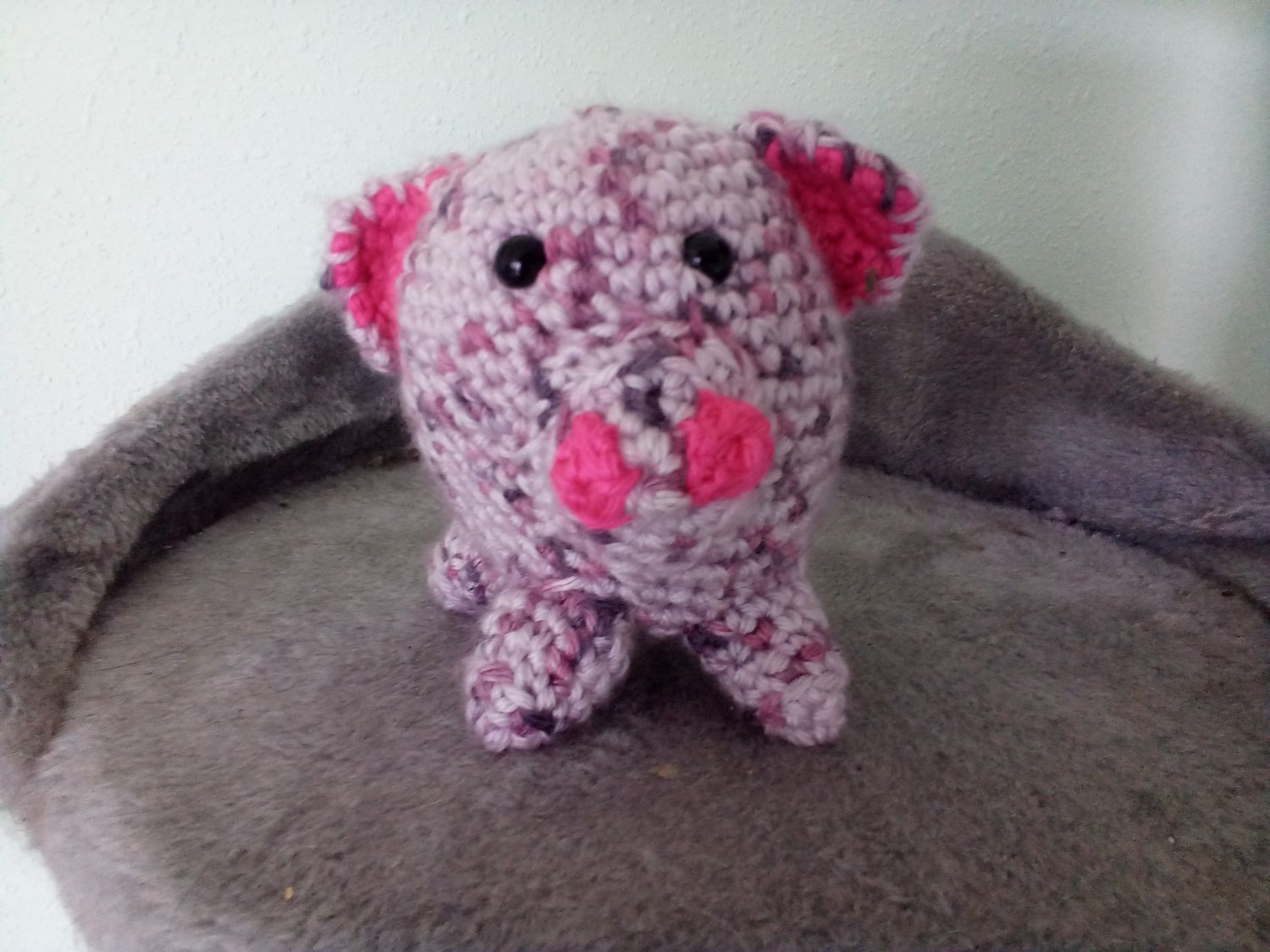 Baby pig