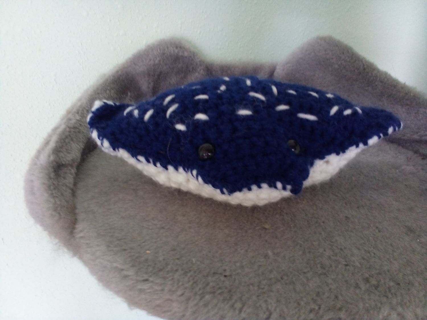 Manta ray