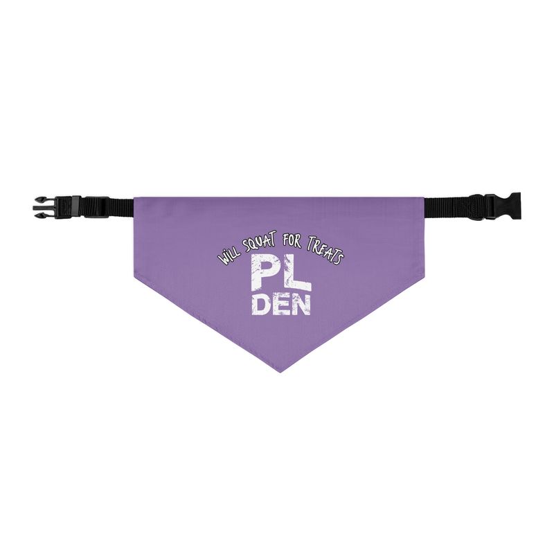 Pet Bandana Collar