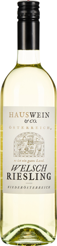 Grüner Veltliner 2022 - Hauswein - Norbert Bauer