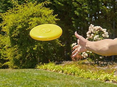 Frisbee-Style Disc