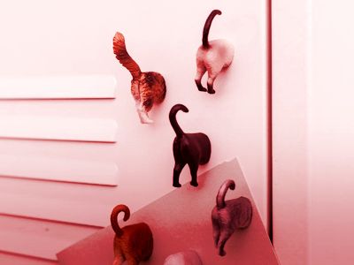 Clearance Novelties &amp; Gifts