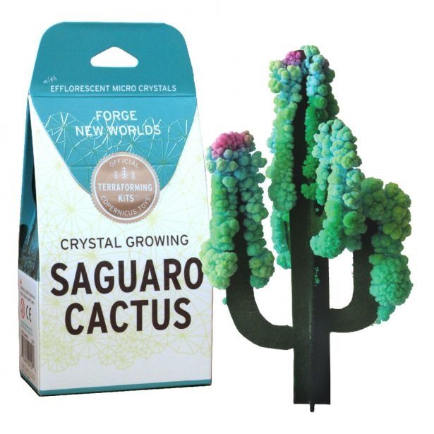 CRYSTAL GROWING - SAGUARO (CACTUS)