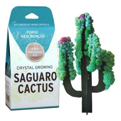 CRYSTAL GROWING - SAGUARO (CACTUS)