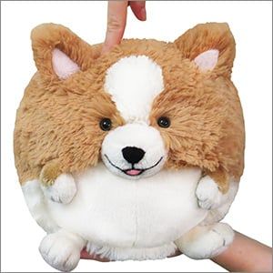 SQUISHABLE 7&quot; CORGI