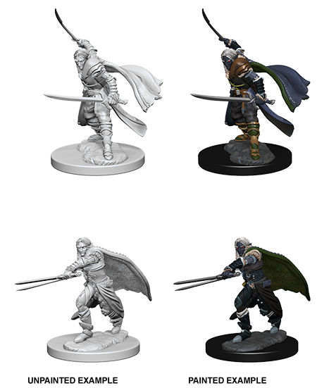 MINIS: D&amp;D: ELF MALE RANGER (DUAL MELEE)