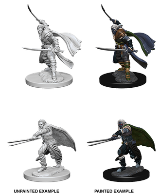 MINIS: D&amp;D: ELF MALE RANGER (DUAL MELEE)