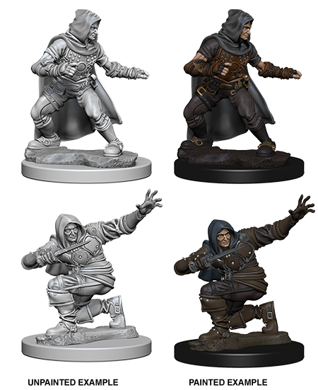MINIS: PF: HUMAN MALE ROGUE (COIN &amp; DAGGER)