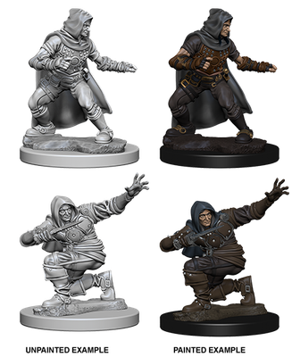 MINIS: PF: HUMAN MALE ROGUE (COIN &amp; DAGGER)