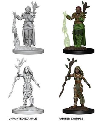 MINIS: D&amp;D: HUMAN FEMALE DRUID