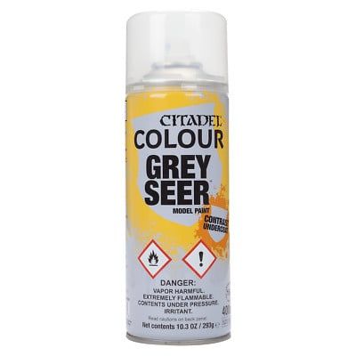 CITADEL (SPRAY): GREY SEER