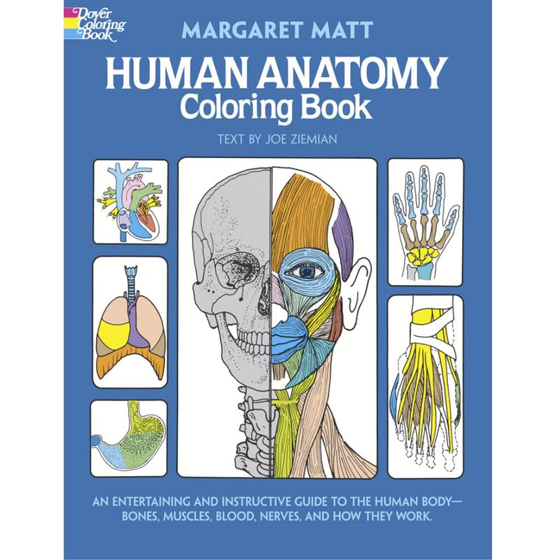 COLORING BOOK HUMAN ANATOMY - AN ENTERTAINING &amp; INSTRUCTIVE GUIDE TO THE HUMAN BODY