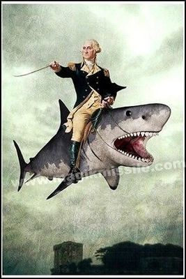 MAGNET: WASHINGTON ON SHARK