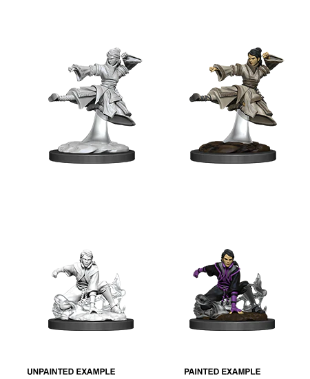 MINIS: D&amp;D: HUMAN FEMALE MONK (UNARMED)