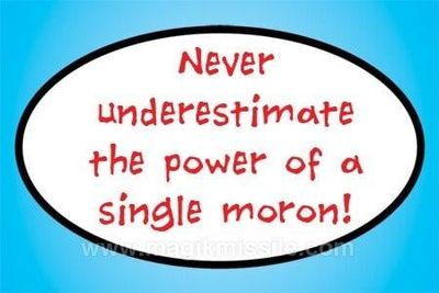 MAGNET: SINGLE MORON