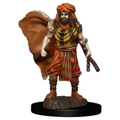 MINIS: ICONS OF THE REALMS: HUMAN MALE DRUID