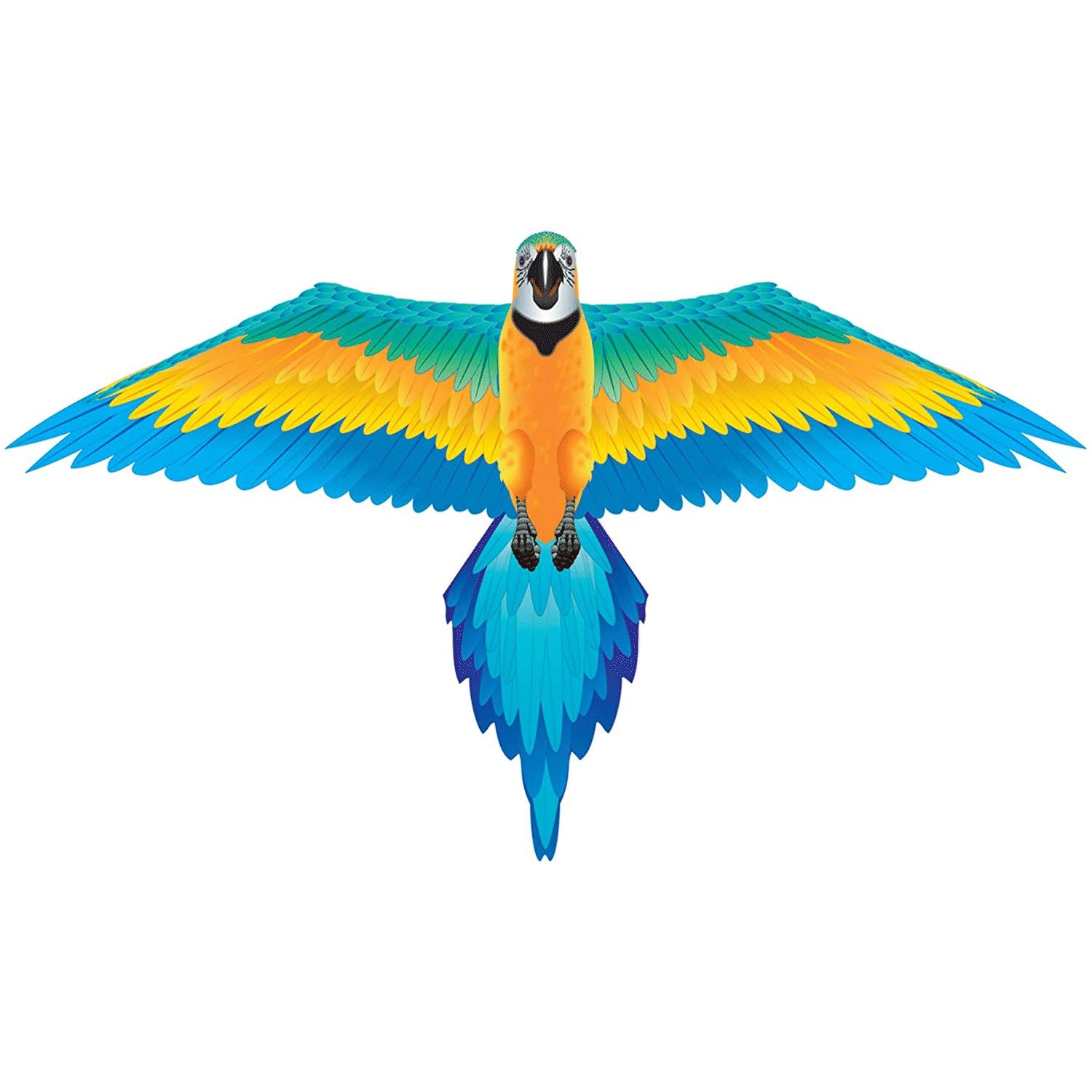 KITE RAINFOREST MACAW 60&quot;