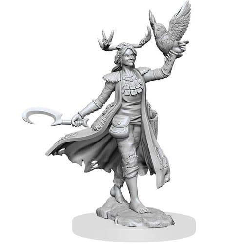MINIS: D&amp;D: FRAMEWORKS HUMAN DRUID FEMALE