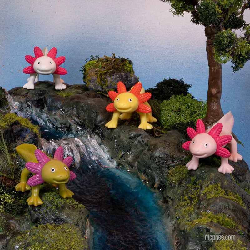 BIN - FINGER AXOLOTLS