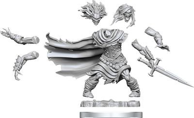 MINIS: D&amp;D: FRAMEWORKS WIGHT