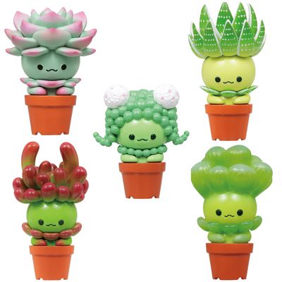 BLIND BOX SUCCULENT FRIENDS