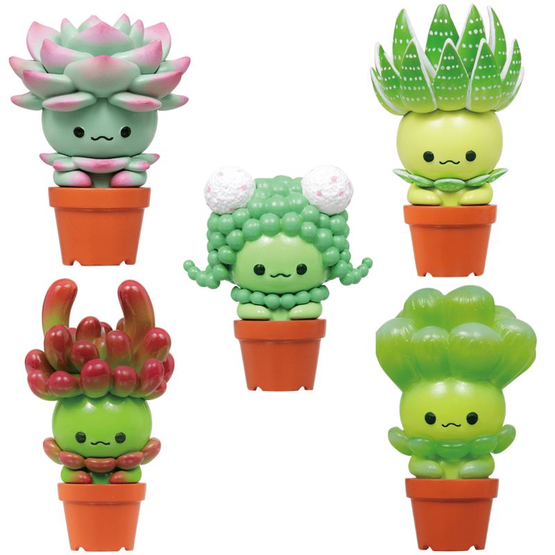 BLIND BOX SUCCULENT FRIENDS
