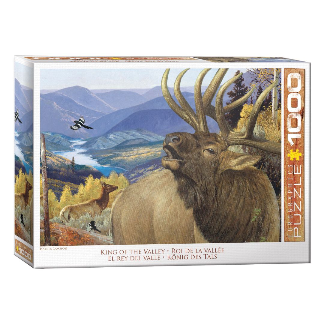 EG1000 LAMBSON - KING OF THE VALLEY