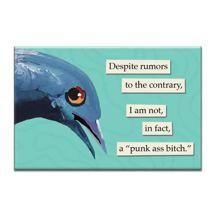 MAGNET: PUNK ASS BITCH