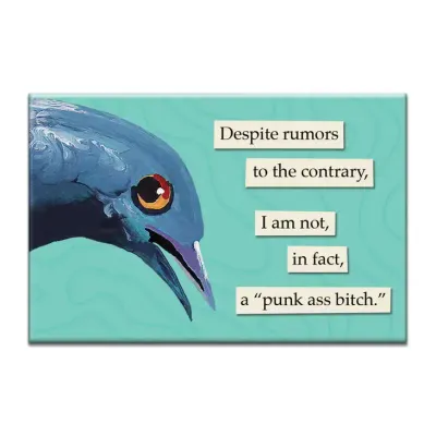 MAGNET: PUNK ASS BITCH
