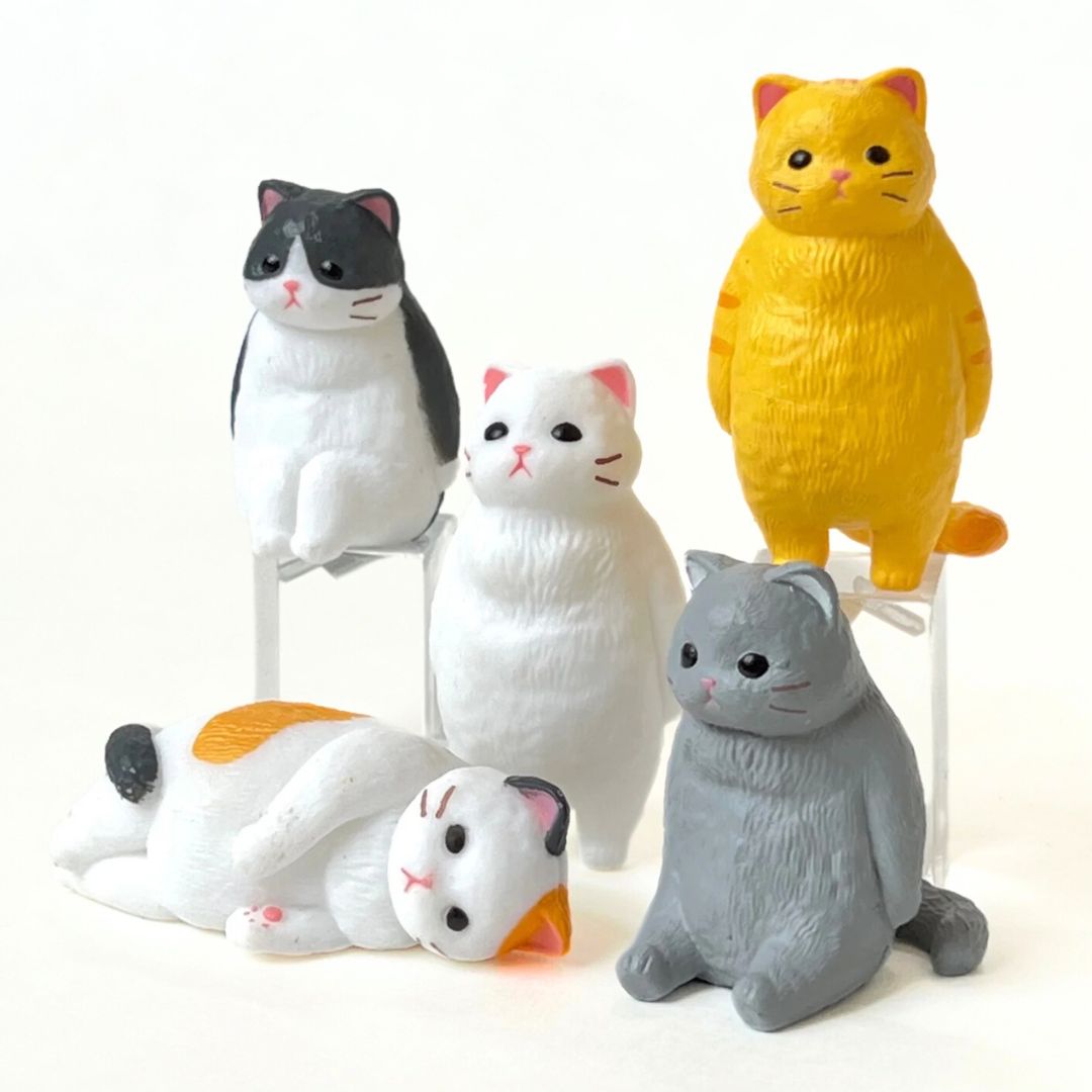 BLIND BOX CAT VOID