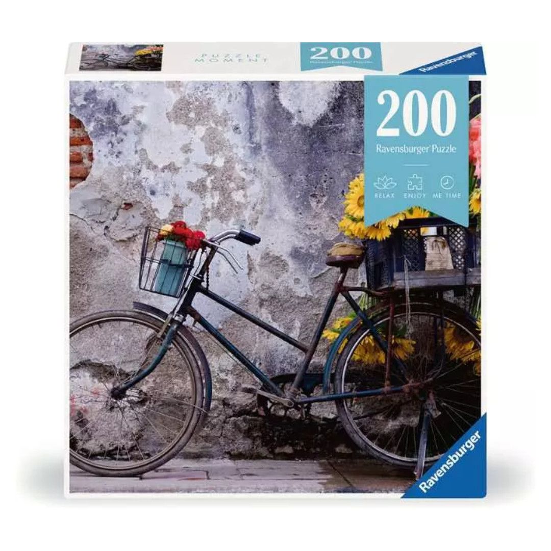 RV200 PUZZLE MOMENT - BICYCLE