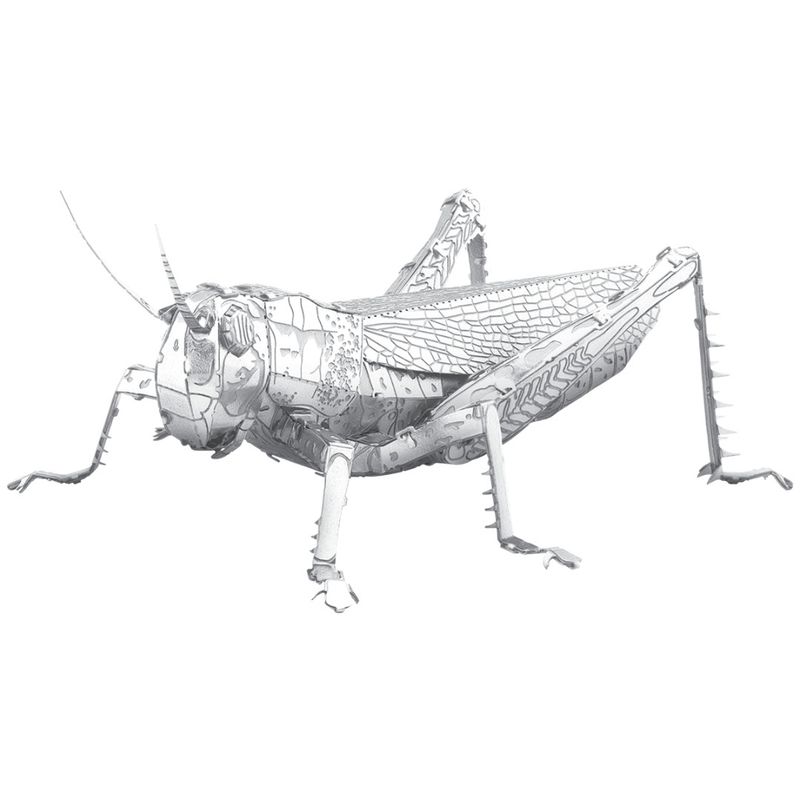 3D METAL EARTH GRASSHOPPER