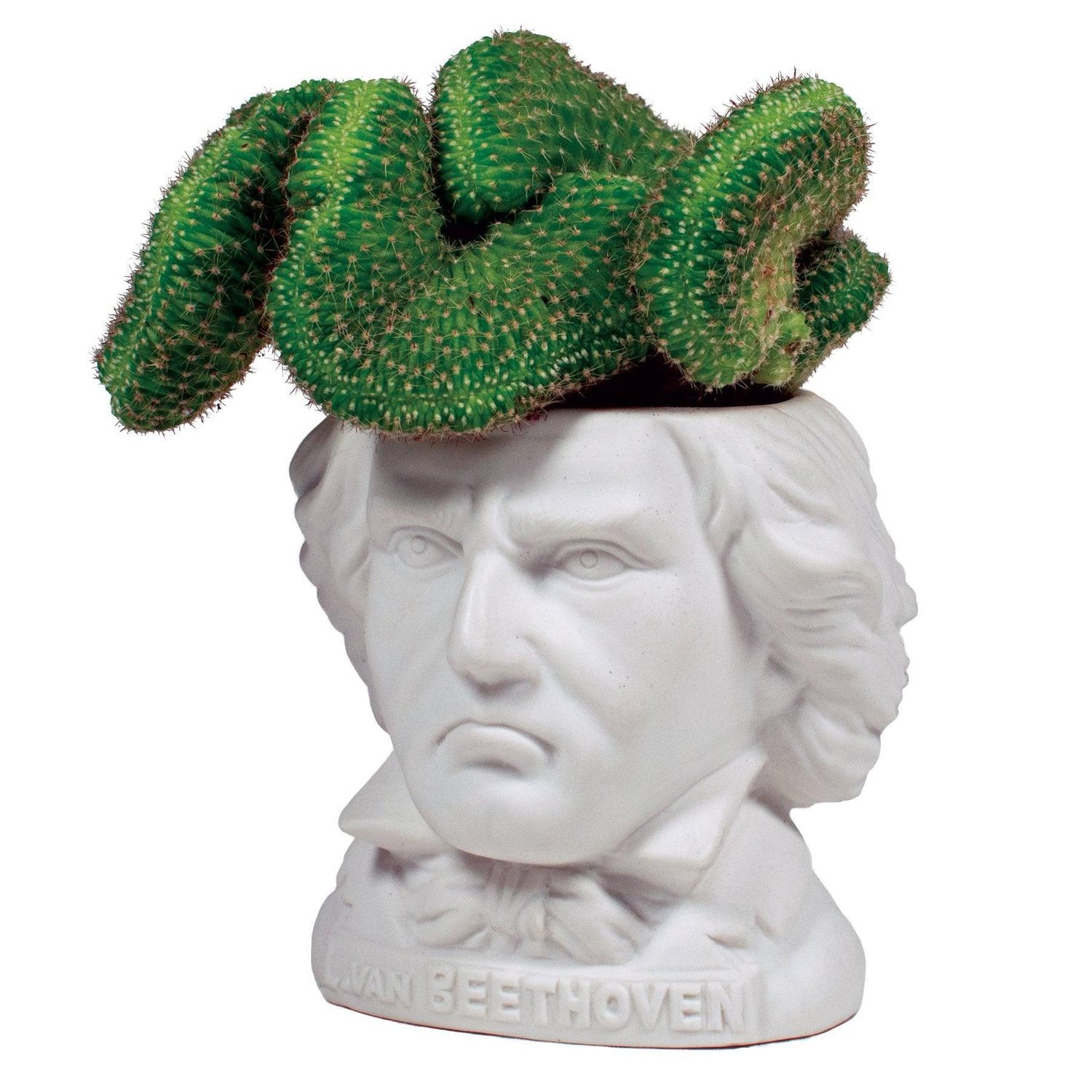 PLANTER - LUDWIG VAN BEETHOVEN